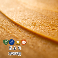 画像がありません