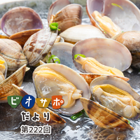 画像がありません