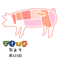 画像がありません