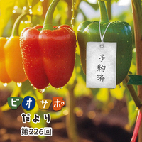 画像がありません