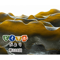 画像がありません