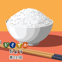 画像がありません