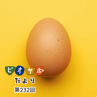 画像がありません