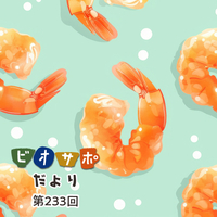 画像がありません