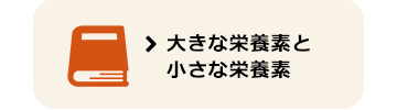 大きな栄養素と小さな栄養素